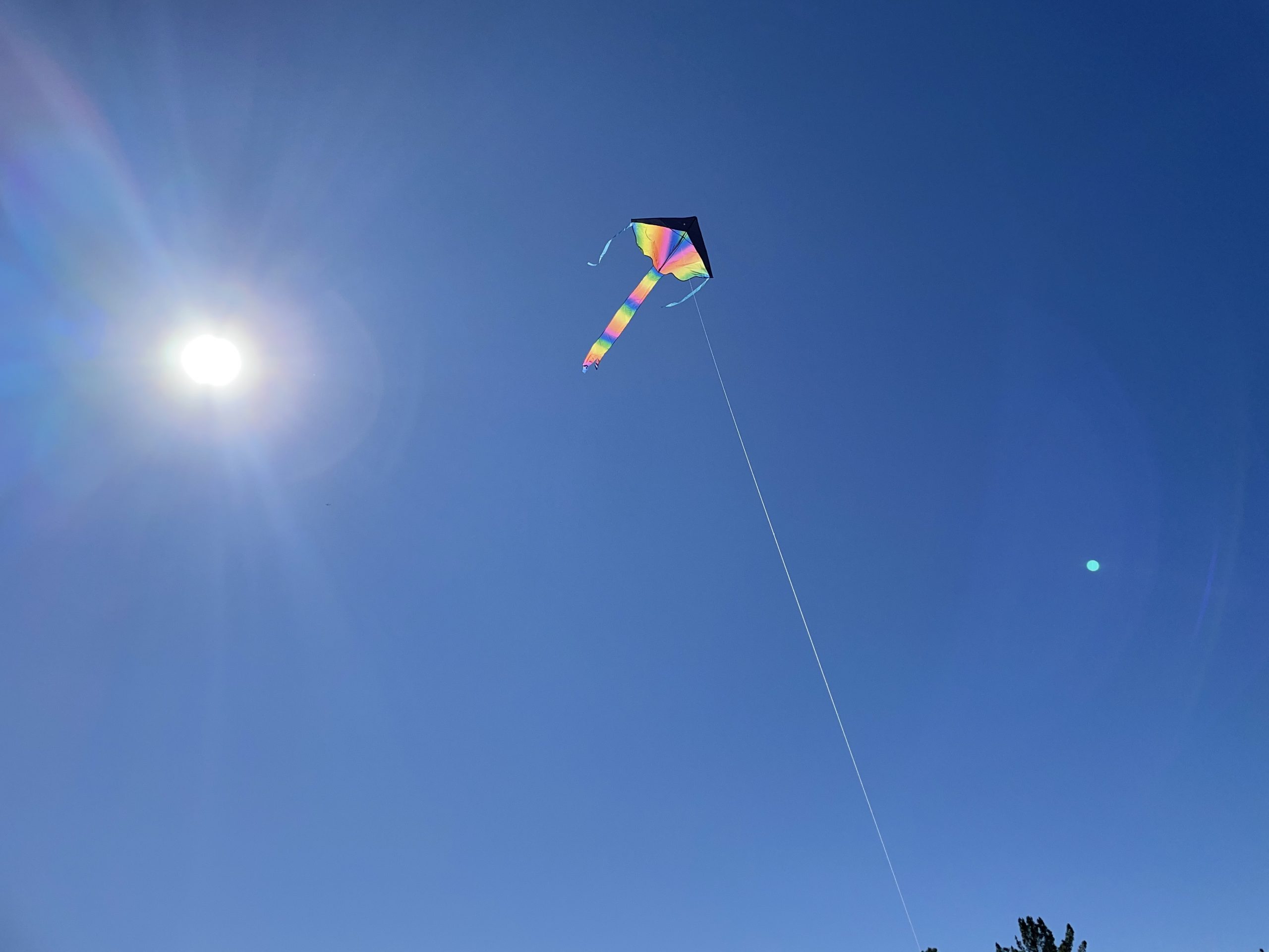 Say Yes To Flying A Kite!